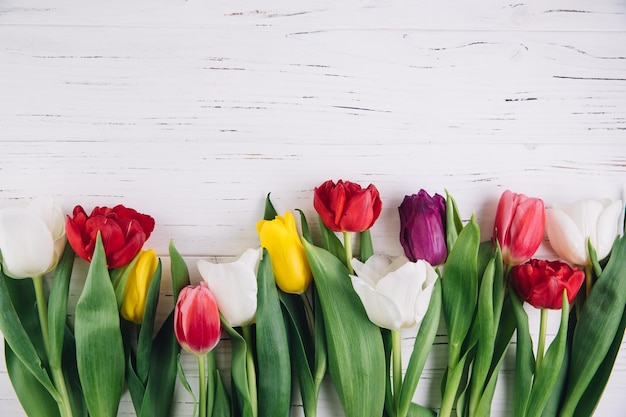 Verse tulpenbloemen op een witte houten tafel Bovenbeeld en kopieerruimte voor tekst