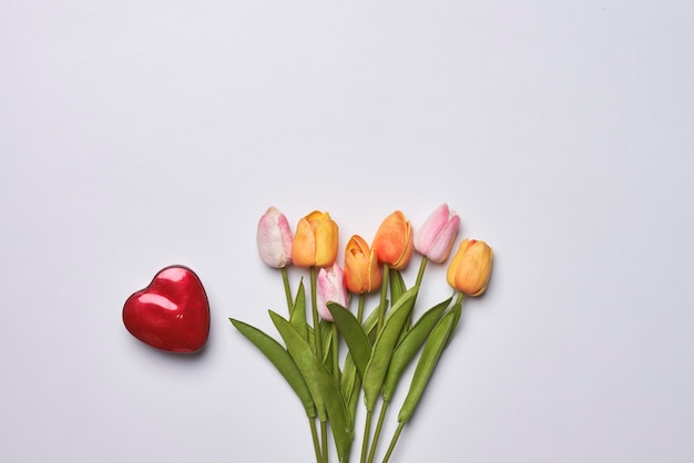 Verse tulpenbloemen