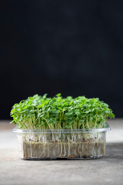 Verse verschillende biologische microgroenten voor gezonde voeding