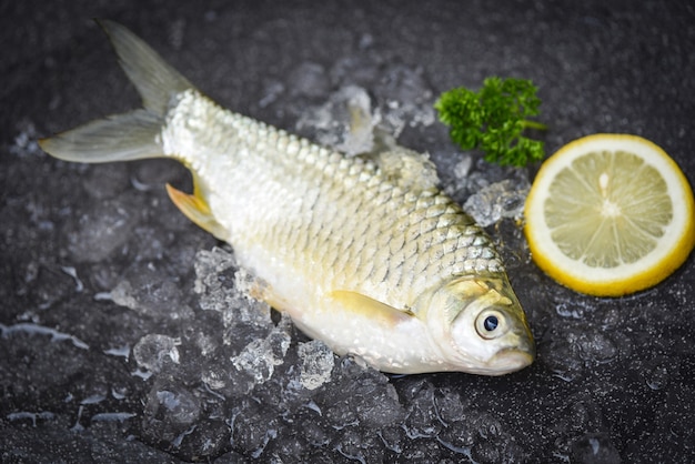 Verse vis citroen bovenaanzicht, Silver Barb vis op ijs, Java Barb Carp Fish op marktvoedsel