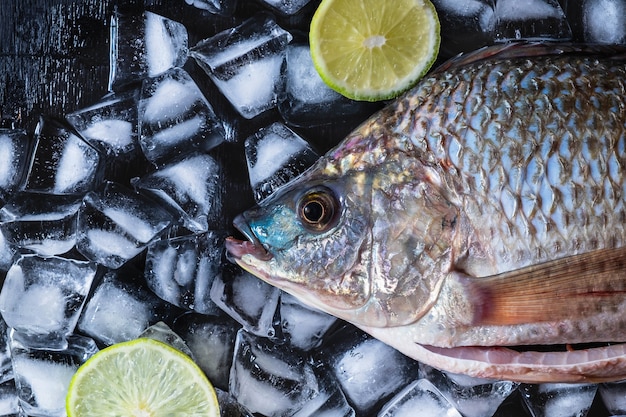 Verse vis van tilapia op ijs met citroenpuree.
