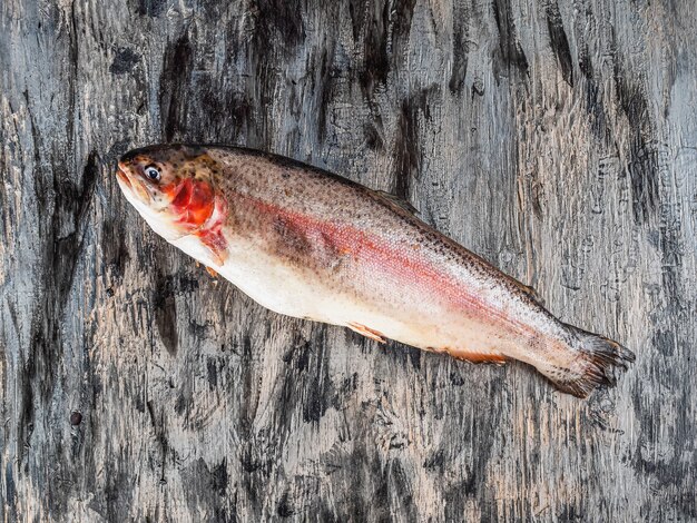 Verse vis zalm op grijze achtergrond bovenaanzicht