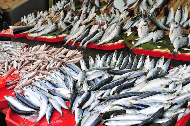 Verse vissen op de markt