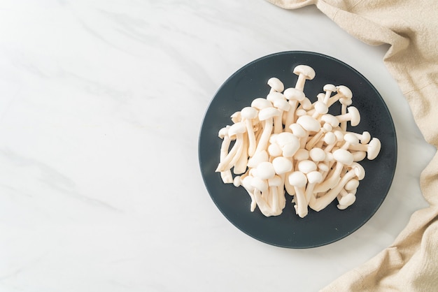 verse witte beuken paddestoel of witte reishi paddestoel op bord