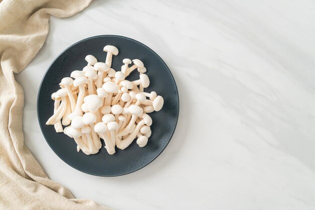 verse witte beuken paddestoel of witte reishi paddestoel op bord