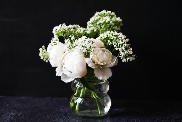 Verse witte pioenrozen op een zwarte donkere achtergrond Een condoleancekaart Trouwdatum Een uitnodiging voor een feestdag Felicitatie Een lege ruimte voor tekst Van bovenaf bekijken Hij lag plat