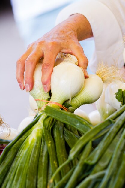 Verse witte uien op de lokale boerenmarkt.