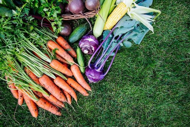 Verse wortelen rode biet maïs courgette koolrabi kool Samenstelling met diverse rauwe biologische groenten