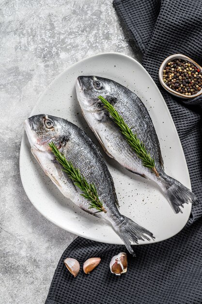 Verse zeebrasem vissen klaar voor het koken. Grijze achtergrond. bovenaanzicht.