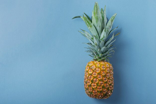 Verse zoete ananas op de blauwe muur