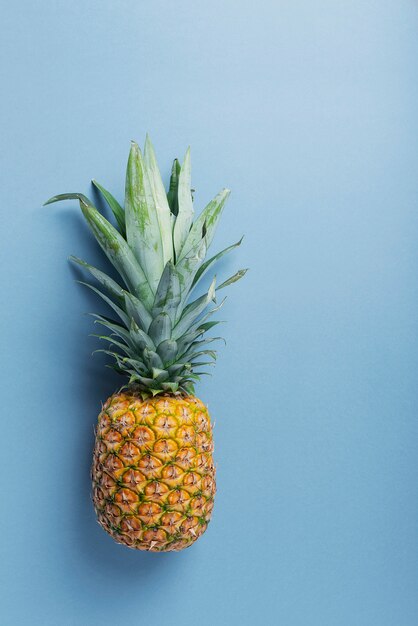 Verse zoete ananas op de blauwe muur