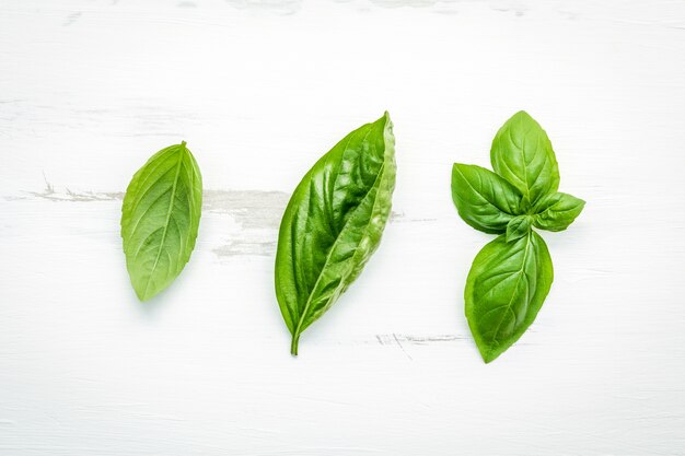 Verse zoete groene basilicumbladeren op witte sjofele houten achtergrond.