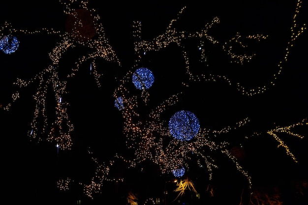 Versierde boom met veelkleurige kerstverlichting in stadspark 's nachts