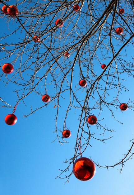 Foto versierde kerstboom