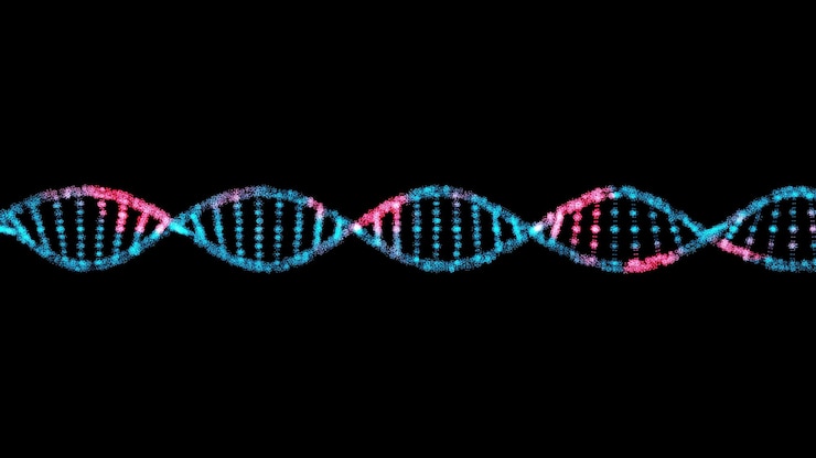 Foto verspreiding van virus via 3d dna-helix op zwarte achtergrond visuele demonstratie van virus in het lichaam wetenschap medisch concept 3d-animatie