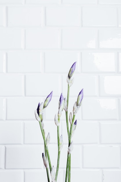 Verticaal frame een boeket van ongebloemde bloemiris op een achtergrond van witte bakstenen muur