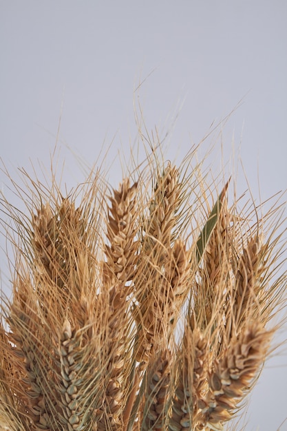 Verticaal geschoten boeket van gouden tarweaartjes