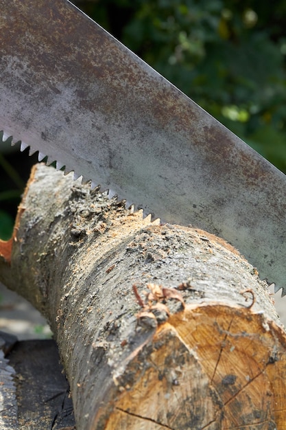 Verticaal geschoten oud roestig zaagblad voor het snijden van bomen. Houtwerk concept close-up.