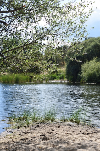 Verticaal landschap met rivier en bos