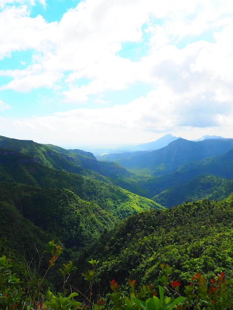 Verticaal schot van bossen en heuvels van Mauritius op een bewolkte dag