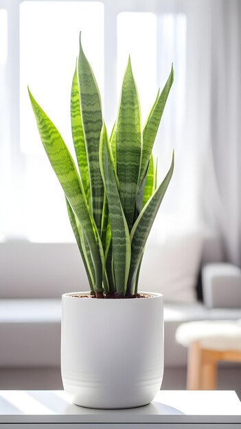 Verticaal schot van een plant in een witte pot in een kamer natuurlijk licht geweldig voor een kamer decor