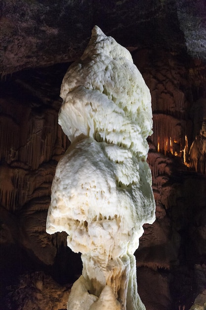 Verticaal schot van stalagmieten in Postojna Cave, Slovenië