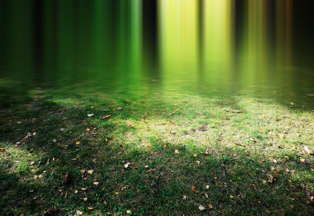 Verticaal wazig licht op groen gras met gele bladeren landschapsachtergrond