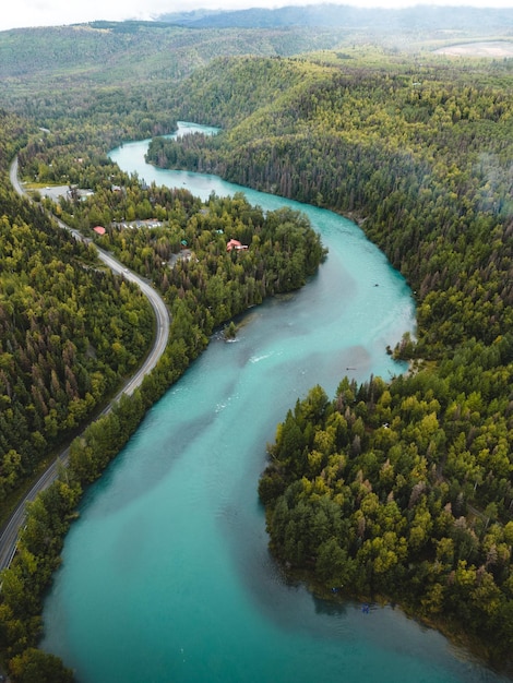 Vertical aerial view of the Kenai River flowing in a forest surrounded by lush nature in Alaska