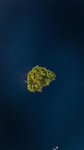 Vertical aerial view of a small green island in the middle of the sea