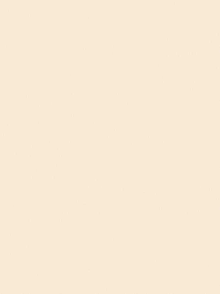 Photo vertical antique white paper texture with noise speckles