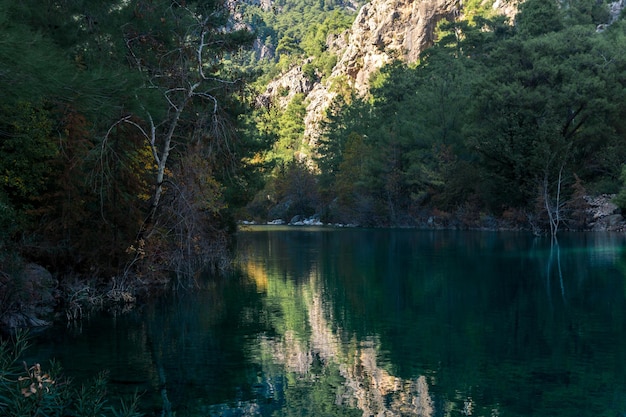 vertical autumn mountain landscape with shady lake