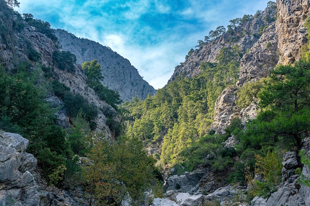 Vertical autumn mountain landscape with shady lake