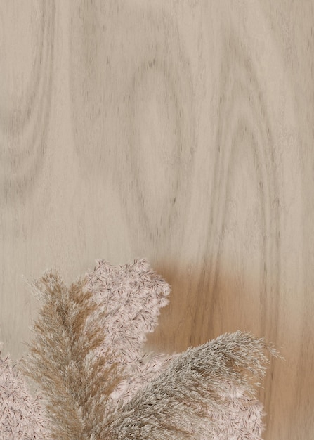 Vertical background with dried plants and empty space for text Bottom border with copy space Realistic pampas grass 3D rendering