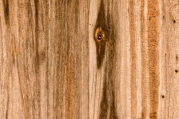 Foto assi di legno marrone verticale con ramoscelli