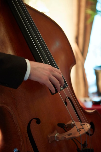 Vertical closeup photo of a man's hand playing double bass