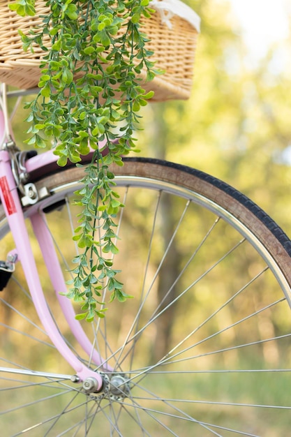 Vertical closeup view of retro pink bicycle wheel with wicker basket and plant hanging from it