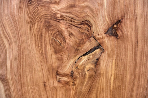 Vertical cut of elm board wood slab with inner knot in bizarre pattern shape and tree rings close view