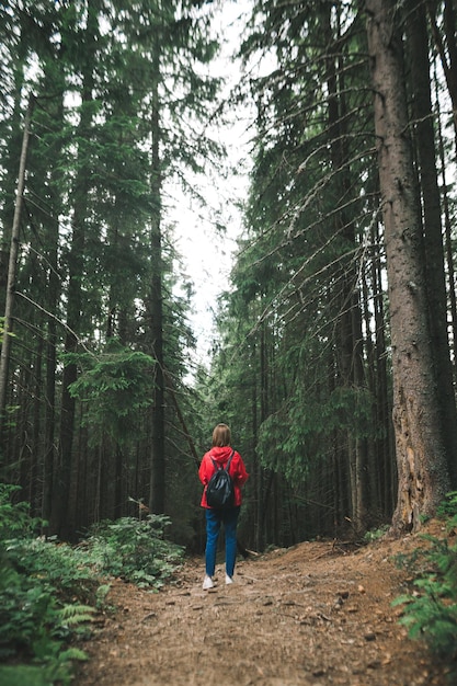 Vertical fulllength photo back view on tourist girl in a red jacket with a backpack in the mountain forest A hiker woman wearing a red raincoat is among the tall trees in the woods Copyspace