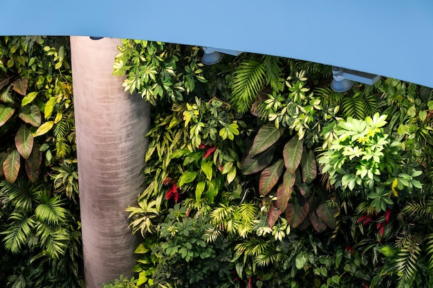 Vertical garden green living wall with flowers and plants indoors