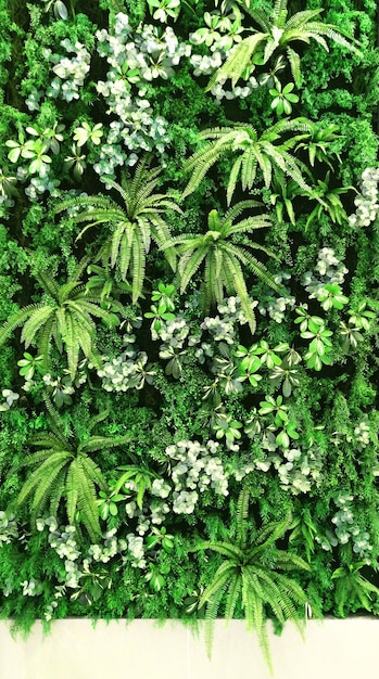 Vertical garden with tropical green leaf, contrast