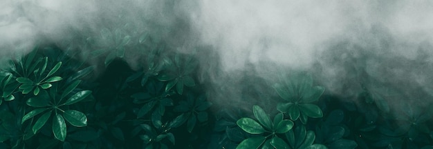 Vertical garden with tropical green leaf with fog and rain Dark tone