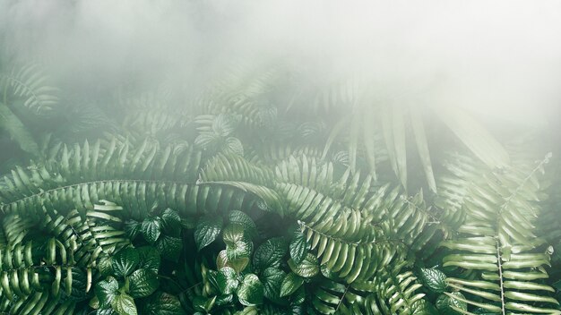 Giardino verticale con foglia verde tropicale con nebbia e pioggia tono scuro