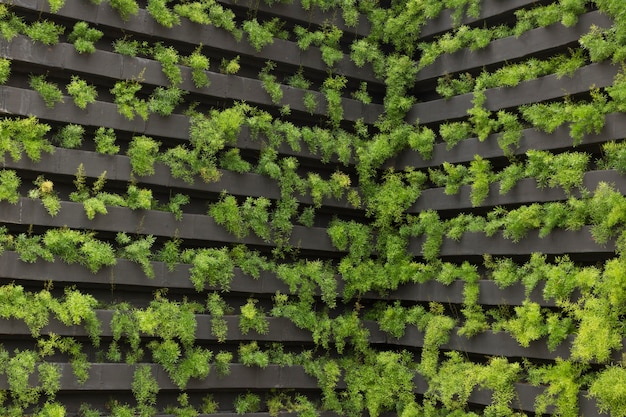 Vertical garden with young plants growing