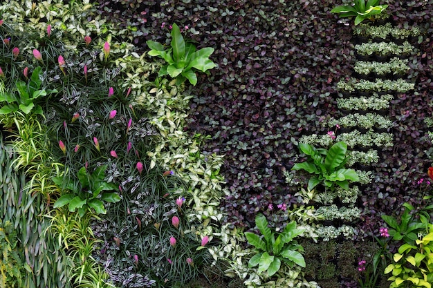 Giardinaggio verticale nel parco.