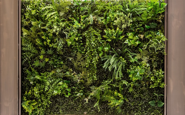Вертикальный зеленый сад для фона