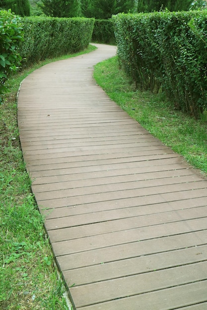 Vertical image of an empty wooden path in the park