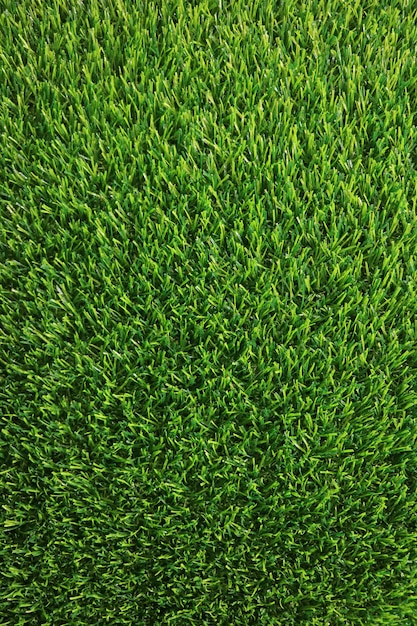 Vertical Image of Lush Green Grass Lawn for Background