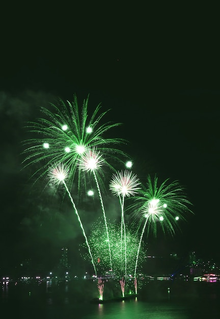 夜空に飛び散る鮮やかな緑の花火の垂直方向の画像