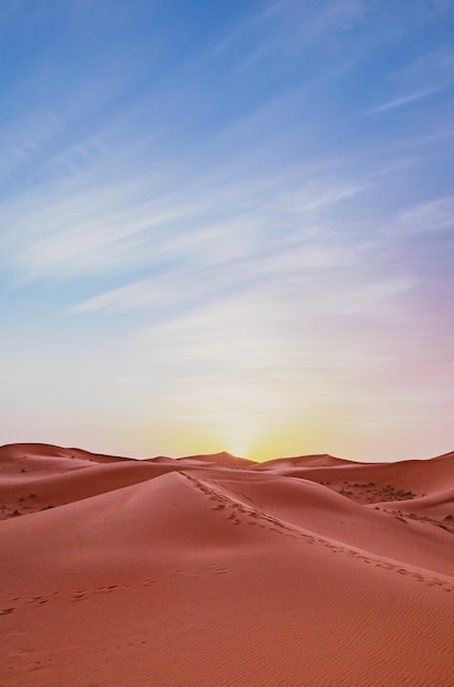 Vertical landscape of sand dunes with animal tracks against a sunset sky