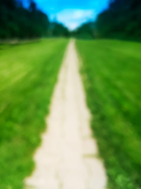 Foto fondo verticale del bokeh della strada di estate del parco hd